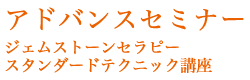 アドバンスセミナー