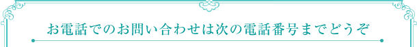 お電話でのお問い合わせは次の電話番号までどうぞ